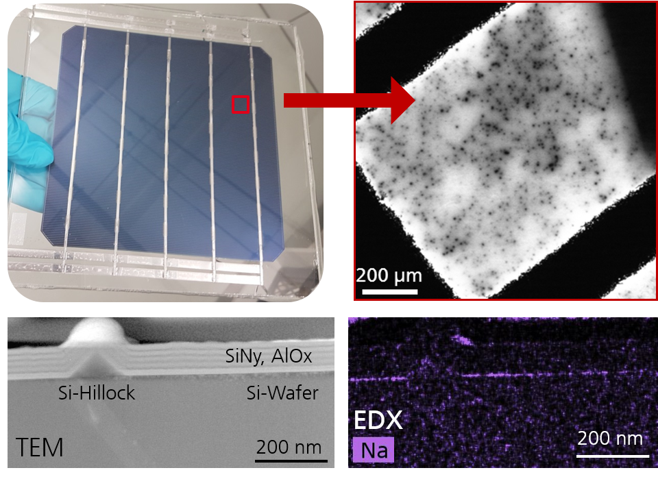 IP_issues_cells IP_issues_cells